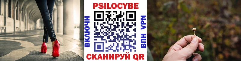 Галлюциногенные грибы MAGIC MUSHROOMS  Грязи 