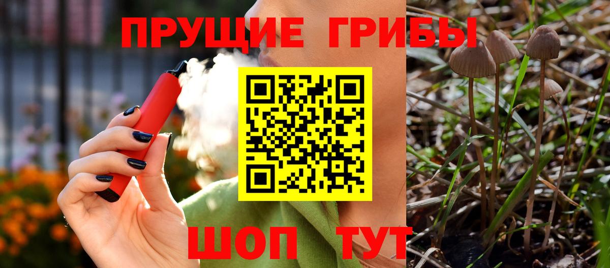 Псилоцибиновые грибы мухоморы Грязи