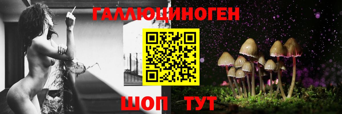Галлюциногенные грибы прущие грибы  Вход с VPN  Грязи 