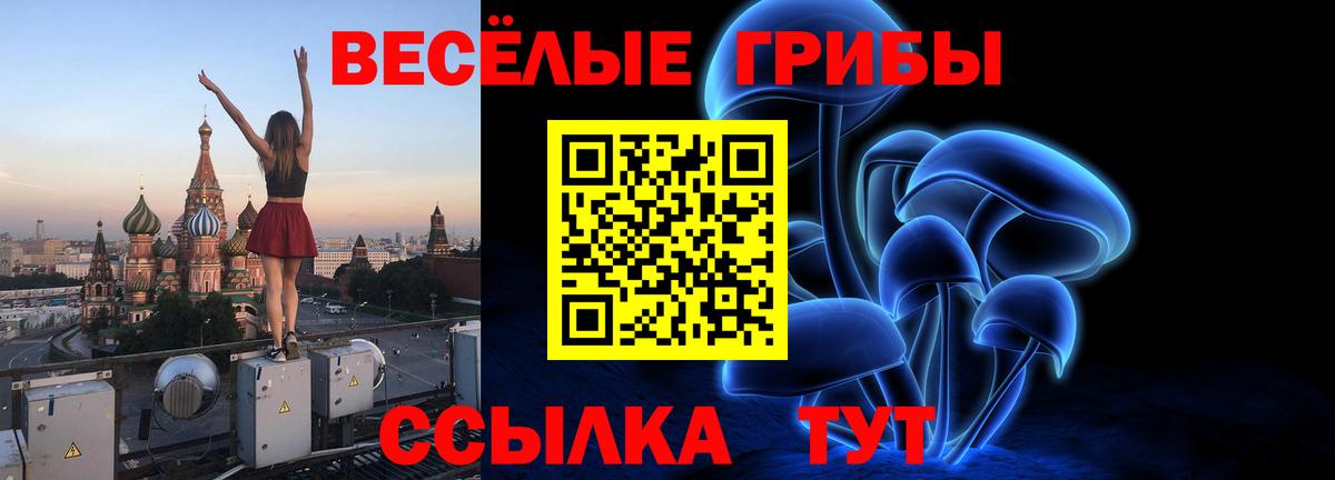 Галлюциногенные грибы мицелий  Грязи 